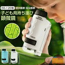 顕微鏡 小学生 ミニ顕微鏡セット ハンディ顕微鏡 60〜120倍拡大 子供用 スマホホルダー おでかけ顕微鏡|詳細画像