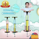【楽天1位】バランスホッピング スポーツ玩具 ラングス ラングスジャパン スポーツトイ キッズ 子供 子ども 誕生日 ギフト プレゼント お祝い 男の子 女の子 公園 体幹 運動 親子 知育玩具 女の子 男の子 小学生 キッズ 遊具 室内 室外 入学 入園 祝い