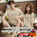 ペアパジャマ カップル 春 パジャマ ペア 半袖 ペア ルームウェア 夏 ペア カップル お揃い 結婚祝い プレゼント ギフト ペアルック カップル ルームウェ...