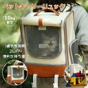 ペット キャリー バッグ 猫用 犬 リュック キャリーケース お散歩バッグ バックパック メッシュ アウトドアキャリー 大容量 通気性 旅行 通院 避難用 お出...