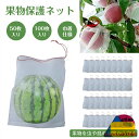 果物保護袋 果物保護バッグ 果実防虫袋 果実袋 害虫鳥避け メッシュバッグ 防虫 ネット 野菜 種入れ 鳥よけ網 防鳥 通気性 巾着袋 50枚セット 35cm×25cm 巾着袋 鳥よけ網 園芸用品 ガーデニング用品 フルーツ ガーデニング 家庭菜園 種入れ フルーツネット 果実袋 光通過