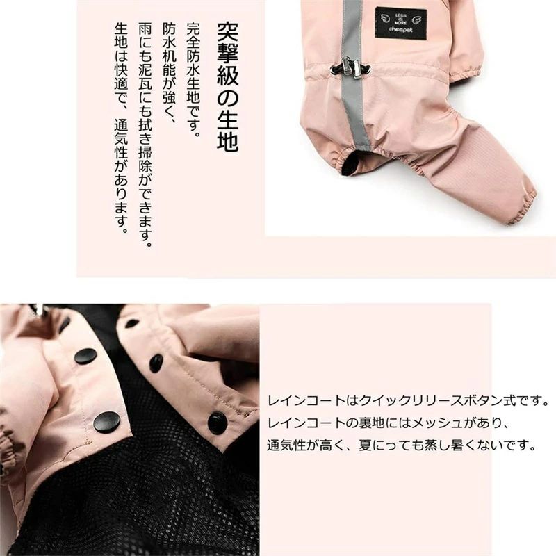 サンプル画像3