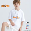 半袖tシャツ Tシャツキッズ 男の子 女の子 こども ユニセックス ブルー 子供服 保育園 運動会 幼稚園 お着替え 夏服 大きいサイズTシャツ メンズ レディ...