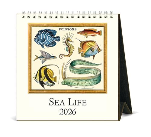 カバリーニ 2026年 カレンダー 卓上 シーライフ 475490 送料無料