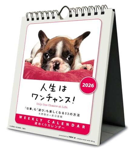トライエックス 人生はワンチャンス！ 卓上/壁掛 2026年カレンダー 18×14cm CL-383 送料無料