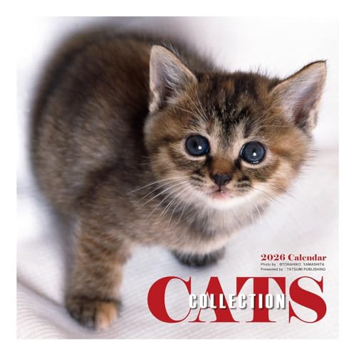 2026年カレンダー 辰巳出版/Cats Collection 山下寅彦 送料無料