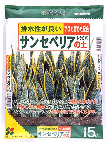 サンセベリアの土-/Pack of 1/5L・Size:Pack of 1・パッケージ個数:1・容量：5L・製造：日本・適用：サンセペリア、多肉植物など・主原料：木質堆肥、バーライト、赤玉土、ピートモス・特長：排水性が良いので根の評吸を助け根腐れを防ぎ、バーミキュライトで保肥性を高めます。商品紹介 サンセベリアの株分けや葉挿しに適した、サンセベリアが好む通気性や排水性の良い専用土です。 ●排水性が良いので根の呼吸を助け根腐れを防ぎます ●醗酵した有機質の栄養分を含んでいます より ●排水性が良いので根の呼吸を助け根腐れを防ぐ ●発酵した有機質の栄養分を含んでいる ●バーミキュライトが肥料の持ちを良くする 原材料・成分 木質堆肥、軽石、赤玉土、ピートモス、バーミキュライト、ゼオライト