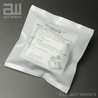 actwork's四つ葉のクローバーLuckyforYou×6個セット