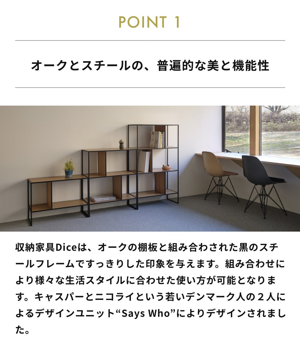 CORE ONE コアワン DICE 86【収納家具 インテリア 北欧 デンマーク カフェ レストラン 飾り棚 飾棚 オーク材 ディスプレイ シェルフ ダイス】 [3]
