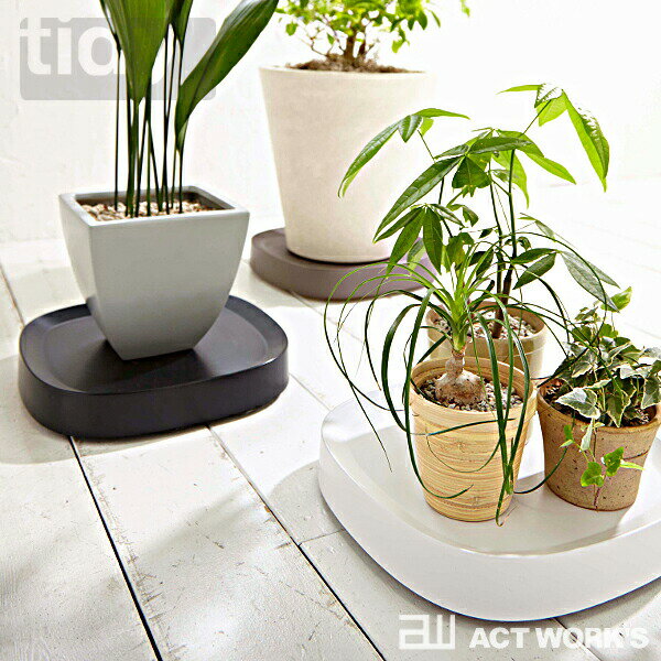 3tidy ץ󥿥֥ ȭȥ졼 ƥ Plantable ڥƥǥ տʪ ǥ󻨲  ǥ˥ Х륳ˡ ٥ ե ǥ󻨲 ƥȡ