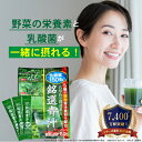 青汁 乳酸菌 国産 ビタミン 大麦若葉末 難消化性デキストリン ケール 野菜 ジュース ダイエット ドリンク 飲料 あおじる 粉末 ペットボトル 紙パックスムー...
