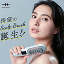 商品名：WAVEWAVE Scalp Brush Premium 商品型番：WAVEWAVE-011PRE　　 商品素材：ABS、PC　 リチウム電池容量：1000mAh 　消費電力：5W　　 定格電源：3.7V 500mA　　充電時間：3〜4時間 本体サイズ：190*61*63mm　　重量：111g（本体のみ） 製造国：Designed in JAPAN , Made in CHINA *注意事項 本商品は医療機器ではなく、美顔器/美容器/電気ブラシであり、治療作用は一切ありません。 商品に含まれるもの ・美顔器 本体（WAVEWAVE SCALP BRUSH PREMIUM） ・美顔器 取扱説明書及び保証書 ・美顔器 フェイス用アタッチメント ・美顔器 ヘアオイルケア用アタッチメント ・美顔器 ベース ・充電コード（TYPE-C） ・ACアダプター ・美顔器専用ポーチ ・美顔器クリーニングブラシ 美顔器 　 安全に関するご注意 ●次のような人は使用しない ・心臓ペースメーカーなどの体内植込式医用電気機器を使用している方 ・人工心肺など生命維持用医用電気機器を使用している方 ・心電図などの装着型医用電気機器を使用している方 ・医師の治療を受けている方 　 ・18歳以下の方 　 ・発熱している方　 ・妊娠中、生理中、授乳中の方 　 ・高血圧や低血圧の方 　 ・心臓疾患、血栓のある方 ・急性疾患、結核性疾患、悪性腫瘍、血液疾患、内臓疾患、伝染病疾患のある方 ・血行障害、毛細血管拡張、血圧に異常のある方 ・急性化膿性炎症のある方 ・糖尿病などの末梢循環障害による感覚障害のある方 ・皮膚の知覚障害や疾患がある方 ・発熱している方 ・身体的あるいは精神的に疾患があり、思いを自由に表現できない方 ・ステロイド系ホルモン剤の長期使用や肝機能障害で毛細血管拡張を起こしている方 ・骨折や整形など顔面や首に埋め込み手術を受けた方　 ・敏感肌の方 ・皮膚病、アレルギー体質、 アトピー性皮膚炎、皮膚トラブルがある方 ・医師から、美顔器・RF美顔器・EMS美顔器・ヘッドスパ・電動頭皮ブラシ等を禁じられている方 ・以前に、美顔器・RF美顔器・EMS美顔器・ヘッドスパ等を使用した際に体調を崩されたことのある方　 ・目や体の手術を行った方　・目や体に疾患がある方 ・過度の日焼けで肌や頭皮が炎症を起こしている方 ・眠気を誘う薬を服用中の方 〇以下の部位の使用しないでください。　 ・切り傷や整形手術をした部位　 ・口内や粘膜　 ・化膿した皮膚 ・炎症箇所　 ・痒みがある部位　 ・膨らんだホクロ　 ・ウィルス性のイボ　 ・のどぼとけ　 ・まぶた ・目のまわり　 ・眼球　 ・にきび ※ご自身で判断できない場合は、本美顔器を使用前に医師にご相談ください。 【ご使用・保管方法について】 ・本 美顔器 をご使用の際、以下のことを行わないでください。 ・本 美顔器 を水の中に落とさない。水の中に浸さない。 ・本 美顔器 を分解や修理、改造をしない。 ・異臭や異常発熱したときは使用しない。 ・本 美顔器 を不安定な場所に置かない。本体を落としたり、ぶつけたりしない。 ・本 美顔器 の取扱説明書に記載されている用途以外に使用しない。 ・本 美顔器 を子どもの手の届かない場所に保管し、使わせない。 ・お肌、頭皮 に異常が生じていないかよく注意して使用する。 ・お肌、頭皮 に合わないときは使用を中止する。 〇次に該当する方は使用しないでください。 ・植毛をされている方　 ・部分かつら（テープ貼りつけ、エクステンションを含む編み込みなど）を装着中の方 ・頭皮 の弱い方は状態をみながら、使用の目安を守る。 〇以下のことを守り、ご使用ください。 ・電源をオンにした状態でほかの 美容機器 や 電気製品 に接触させない。 ・ドライヤーと一緒に使用したり、ドライヤーで本体を乾燥させない。 ・本美顔器を初めて使用する前に必ずプレテストを行ってから使用する。 ・本 美顔器 を使い始めや慣れるまでは、必ずレベル1から使用する。 ・本体が熱をもつため、過剰に長時間使用しない。 ・ペットには使用しない。 ・LEDの光を直接覗き込まない。 ・本 美顔器 を使用前に電極の傷や汚れなどの異常がないことを確認する。 ・傷がある場合には使用しない。 ・力を入れて頭皮にこすりつけない ・スムーズに動かせるよう、電極と肌との間に常に水分を保ち、途中で補充する。 ・アタッチメントに傷がないか確認する。 ・使用中に疲労を感じたり、頭皮や肌に異常がある場合はただちに使用をやめる。 （翌日以降も異常が続く場合は、かかりつけの医師にご相談ください） ・使用時間を遵守して使用する。 本体の表面に損傷を与えるおそれがあります。 ・本体をアルカリ洗剤、アルコール、シンナー、ベンジン、除光液などの溶剤で拭かない。 ■お使いになる前に □充電をする ・　充電不足、充電中は 「電池充電表示」が 赤色に点滅し、緑ランプの 点灯に変わると充電完了の合図です。 ・本体は正しい向きで取り付けてください。 ・充電台の充電端子と本体の電極端子をあわせて置いてください。 ・初めて使用する際は、完全に充電が完了してからご使用ください。 ・初めて使用する際や長期間使用しなかったときは、再度充電してからご使用ください。 □アタッチメントの取り付け方・取り外し方 用途に合わせてスカルプ（オイルケア）用、フェイス用を付け替えてご使用ください。 〇 スカルプ（オイルケア）用アタッチメント：頭皮専用 ※オイルは入れた状態でもそうでない状態でもご使用いただけます。 〇 フェイス用アタッチメント：フェイス用。首やデコルテにも使用可能。 ≪取り付け方≫ 本体にマグネット式のアタッチメントをはめる。 ※アタッチメントは上下の形状が異なるため、 その向きに沿って正しくはめ込んでください。 ≪取り外し方≫ アタッチメントの上部と下部の 突起部分に指をかけて、持ち上げて外す。 ≪オイルケア≫ オイルケアアタッチメントの裏側のポケットを空け、ヘアオイルを注ぐ。 [ご使用前の確認事項] お肌へのプレテスト 本製品を初めてご使用になる際は、肌トラブル防止のため必ず肌との相性をプレテストしてください。 1.腕の内側を洗い、ふきとり、清潔な状態にする。 2.腕の内側を水で濡らし、スカルプモードで約1分間動かしながら使用する ・EMSはレベル1で行ってください。 ・プレテストをした場所はこすらないでください。 3．24時間以内にお肌に赤みやほてりがないかを確認する。 ［ご使用方法］ ご使用の目安：〇1日 1部位15分以内を目安にご使用ください。 　 ご使用準備：1．頭皮や肌を清潔な状態にする 2．頭皮や肌にニキビや吹き出物などの異常がないか確認する 3．アタッチメントを選んで、本体に取り付ける 4．頭皮または肌をぬらす 頭皮：水やシャンプー、トリートメントなど 肌：水や化粧水、ジェルなど 検索関連キーワード（※本製品の説明ではありません） WAVEWAVE公式 美顔器,美容,美容家電,美容機器,美顔器 ems rf LED電気ブラシ,美容器,電気ヘッドスパ,ヘッドスパ,頭皮ブラシ,頭皮ケア,美顔器 リフトアップ,リフトアップ,美顔器 ems,スカルプブラシ,頭皮エステブラシ,フェイスケア,フェイスケア 美顔器,美顔器 頭皮,美顔器 頭皮 フェイス,デンキブラシ,クリスマス プレゼント,デンキ ブラシ,ギフト,クリスマス 美顔器,クリスマスプレゼント 妻,クリスマスプレゼント 女性,クリスマスプレゼント 彼女,クリスマスプレゼント レディース,バレンタイン,誕生日,母の日,お祝い,敬老の日,記念日,頭筋,スカルプケア,美顔器,スカルプ,頭皮,顔,フェイス,肌,スキン,電気,EMS,デンキ,スキンケア,リフト,リフトケア,美容 バリ,ブラシ,LED,低周波,バイブレーション,振動,マイクロカレント,表情筋,ヘッドスパ ブラシ,頭皮ケア,デンキ バリ,美顔器 エルフェイス リフトアップ ems ジェル 目元 毛穴 30代 40代 50代 電気 高級 フェイスライン ギフト プレゼント 美容家電 小顔 目元ケア もたつき 福袋 お買い得 豪華セットえるふぇいす 化粧 けしょう ナチュラル マツエク まつげエクステ 美顔器 男性化粧品 メンズ 初心者 愛用 サロン サロン級 エステ級 デパコス ブランド プチプラ 肌 優しい トラブル肌 敏感 敏感肌 混合肌 カサカサ 整肌 角栓 けあな いちご鼻 開き 黒ずみ むくみ くすみ トータルアプローチ テカリ 水分油分 皮脂 肌荒れ エイジングケア ハイドレーション うるおい 潤い 潤いベール マルチケア すっきり スッキリ 爽快 ケア 皮膚柔軟化 もちもち なめらか 顔 髪 頭皮 毛根 口角 目尻 唇 顎 首 デコルテ リンパ リンパ節 顔全体 気になるところ お腹 スキンケア すきんけあ ホームケア 家 安全 ギフト プレゼント ぷれぜんと プチギフト おすすめ ランキング 使い方 女子力 人気 美顔器 商品仕様 シリーズ名 WAVEWAVE ブランド名 WAVEWAVE メーカー型番 wave011