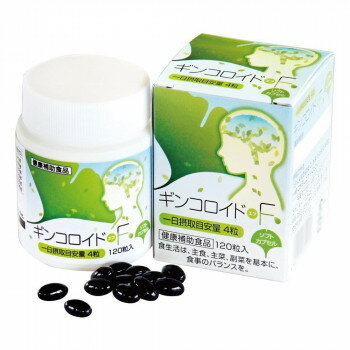 フジワラ化学 ギンコロイドF 120粒