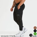 ヴァンキッシュ フィットネス VANQUISH UTILITY V3 TAPERED CARGO PANTS メンズ カーゴ ジョガーパンツ スポーツウエア トレーニングパ..