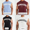 ヴァンキッシュ フィットネス VANQUISH VARSITY OVERSIZED SLEEVELESS T SHIRT ロゴ タンクトップ ノースリーブ Tシャツ 筋トレ ジム トレーニング ウエア 正規品 3