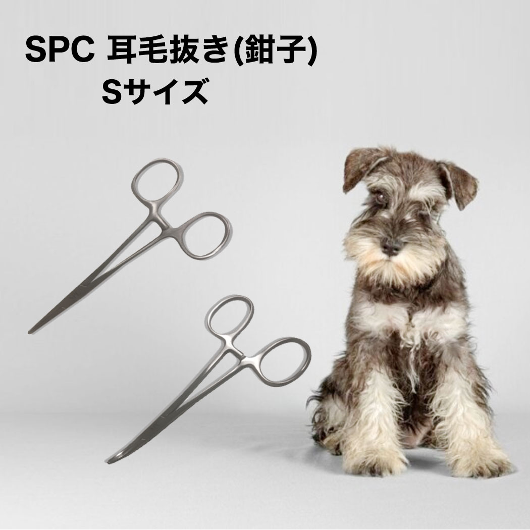 ȴ S ȥ졼   SPC 롼ߥ ȥߥ󥰥ȥޡ ץ  סɥ ʥ ޥ ...