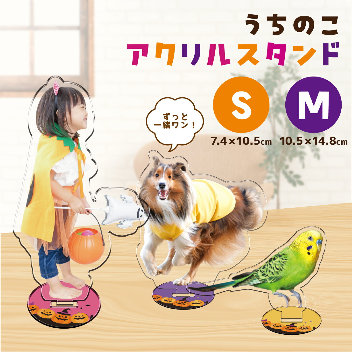 【ハロウィン限定色追加！ フレームにもデザインがついてくる！】アクリルスタンド オリジナル子供 写真 入り アクスタ 作成 犬 猫 ペット 子ども 写真入り オリジナルグッズ オーダーメイド 孫の写真 愛犬 写真で作る 1個 赤ちゃん おばあちゃん 孫からのプレゼント