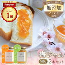 【送料無料/ポイント3倍】梅ジャム 2本セット (160g×2種) 着色料無添加 保存料無添加 ゲル化剤無添加 香料無添加 安定剤無添加 国産 梅 うめ 無農薬...