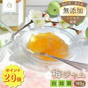 【ポイント20倍】梅ジャム「しらかが」(160g) 着色料無添加 保存料無添加 ゲル化剤無添加 香料無添加 安定剤無添加 国産 梅 うめ 無農薬 無肥料 安心 安全 群馬産 しらかが おいしい フルーティー 贈答 送料無料 最強配送