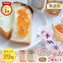 【ポイント20倍】梅ジャム 2本セット (160g×2種) 着色料無添加 保存料無添加 ゲル化剤