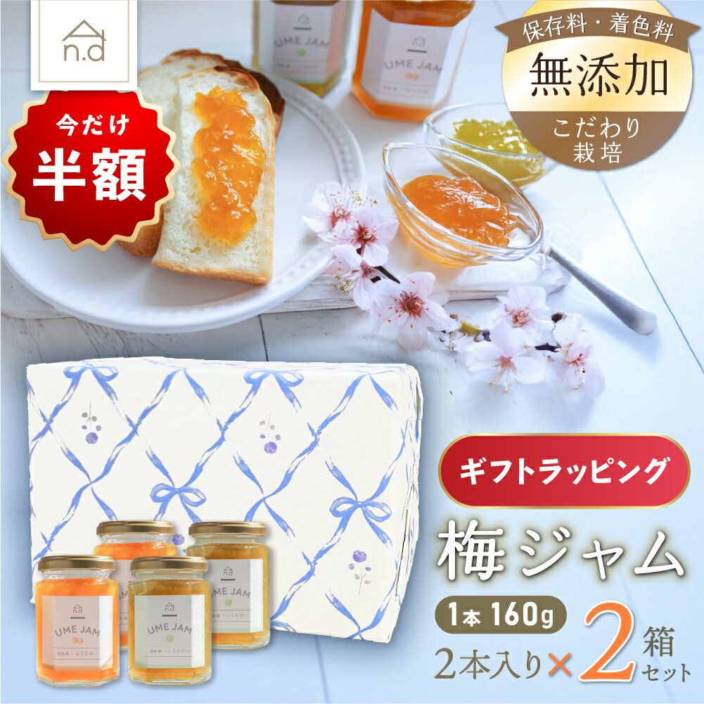 【半額】《お一人様1点限り》《ギフトラッピング済》梅ジャム「しらかが」「おりひめ」2個×2箱セット 着色料無添加 保存料無添加 ゲル化剤無添加 香料無添加 安定剤無添加 国産 梅 うめ 無農薬 無肥料 安心 安全 群馬産 おりひめ しらかが 贈答 送料無料のサムネイル