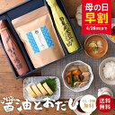 早割 母の日 ギフト 送料無料 蔵元の醤油と万能味だし しょ