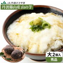 商品画像2:2018年度産 本場丹波篠山産 ネ?バネバの【山の芋 大2個入り【優品】★お歳暮・お正月・おせち★滋養強壮 健康食品やまのいも とろろ 山芋 自然薯