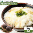\すぐ使える200円クーポン配布中/\粘り抜群 /【秀品】本場 丹波篠山産 山の芋 2kg 送料無料 自然薯 天然 兵庫県 山芋 やまいも とろろ芋 山芋 つくね芋 山のいも とろろ お正月 贈り物 おせち 産地直送 とろろ汁 健康食品 【11月中旬以降順次出荷予定】