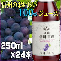 【送料無料】特別厳選果実果汁100％信州巨峰250ml×24本【smtb-k】【kb】