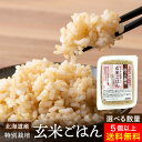 【レンジで90秒！】ムソー 玄米ごはん 160g×5個 セット 送料無料 玄米 あやひめ 北海道産 国産 レトルト ご飯パック 玄米パック パックご飯 レンジ 人暮らし レトルト 玄米ご飯 玄米ご飯パック 新生活 簡単 ごはん 常温保管可能 助っ人飯米 1