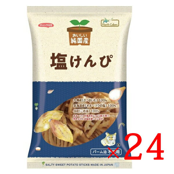 【全品P2倍★お買い物マラソン】ノースカラーズ 純国産 塩けんぴ 100g ×24袋 送料無料 塩けんぴ 芋けんぴ おいしい 芋 カロリー 干しいも 無添加 国産 米油