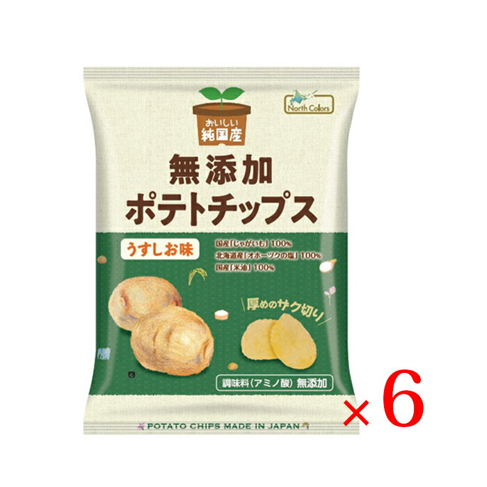 ノースカラーズ 無添加ポテトチップス うすしお 55g ×6袋 セット 送料無料 保存料 着色料 香料不使用 国内産米油を100％使用 国産 無添加 北海道 塩味 うす塩 ポテチ お菓子 おやつ じゃがいも 純国産 安心安全 おかし