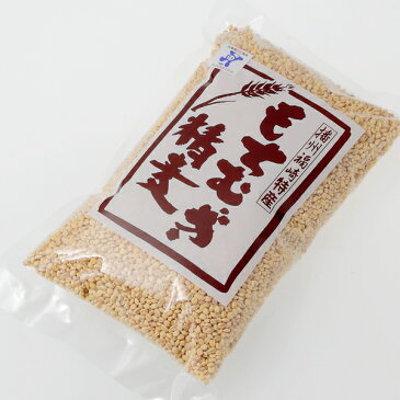 【ゆうパケット対応】もちむぎダイエット！播州福崎名産 もちむぎ 精麦 300gもち麦精麦、白米に混ぜて炊くだけ！