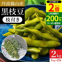 【8/15★全品P2倍】\200円クーポン配布中/予約 本場 ささやま 丹波篠山産の黒枝豆 2kg 枝付き 2025年度産新豆 送料無料 丹波黒 黒枝豆 枝豆 えだまめ 黒豆 京都 篠山 丹波 ささやま たんば 京丹波 甘み もっちり 最高級枝豆 おつまみ 詰め合わせ エダマメ ビール 1kg×2
