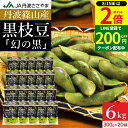 【8/15★全品P2倍】\200円クーポン配布中/予約 本場 丹波篠山産 黒枝豆 6kg 袋入り(300g×20)莢のみ 2025年度産新豆 えだまめ 黒豆 京都 篠山 丹波 ささやま たんば 丹波黒 黒枝豆 枝豆京丹波 甘み もっちり旨い 最高級枝豆 サヤのみ おつまみ 詰め合わせ エダマメ