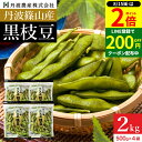 【8/15★全品P2倍】\200円クーポン配布中/予約 本場 丹波篠山産 黒枝豆 2kg 袋入り(500g×4)莢のみ 2025年度産 新豆 えだまめ 黒豆 京都 篠山 丹波 ささやま たんば 丹波黒 黒枝豆 枝豆 京丹波 大きさ 甘み もっちり 最高級枝豆 サヤ おつまみ 詰め合わせ ギフト