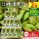【8/15★全品P2倍】\200円クーポン配布中/【最安値に挑戦!!】予約 2024年度産 丹波黒の枝豆 6kg 袋入り(600g×10) 送料無料 超破格 丹波黒 黒枝豆 枝豆 兵庫県産 えだまめ 黒豆 京都 篠山 丹波 ささやま たんば 京丹波 甘み もっちり旨い 最高級枝豆 おつまみ ギフト