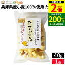 【8/15★全品P2倍】\200円クーポン配布中/兵庫県産小麦100%使用 たまごふ40g 手焼麩 ふ 味噌汁 たまご麩
