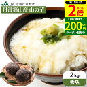 【8/15★全品P2倍】\200円クーポン配布中/\粘り抜群 /【秀品】本場 丹波篠山産 山の芋 2kg 送料無料 自然薯 天然 兵庫県 山芋 やまいも とろろ芋 山芋 つくね芋 山のいも とろろ お正月 贈り物 おせち 産地直送 とろろ汁 健康食品 【11月中旬以降順次出荷予定】