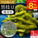 \最大8%OFFクーポン/【ミニ醤油もプレゼント!】予約 本場 ささやま 丹波篠山産の黒枝豆 3kg 枝付き 2025年度産 令和7年 新豆 送料無料 丹波黒 ...