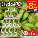 \最大8%OFFクーポン配布中/【最安値に挑戦!!】予約 2025年度産 丹波黒の枝豆 6kg 袋入り(600g×10) 送料無料 超破格 丹波黒 黒枝豆 枝豆...