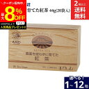 \最大8%OFFクーポン/【ミニ醤油もプレゼント!】【選べる個数】\ 農薬を使わず育てた紅茶 / TBケニア 20袋 × 1箱 ~ 12箱 セット 2箱から 送...