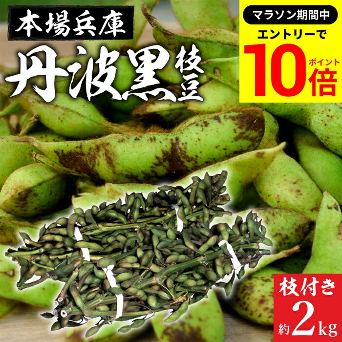 【エントリーでP10倍】＼レビューでミニ醤油GET／【最安値に挑戦!!】予約 2025年度産 丹波黒の枝豆 2kg 枝付き 送料無料 超破格 丹波黒 黒枝豆 枝豆 兵庫県産 えだまめ 黒豆 京都 篠山 丹波 ささやま たんば 京丹波 独特のこく 甘み もっちり旨い 最高級枝豆 おつまみ ギフトのサムネイル