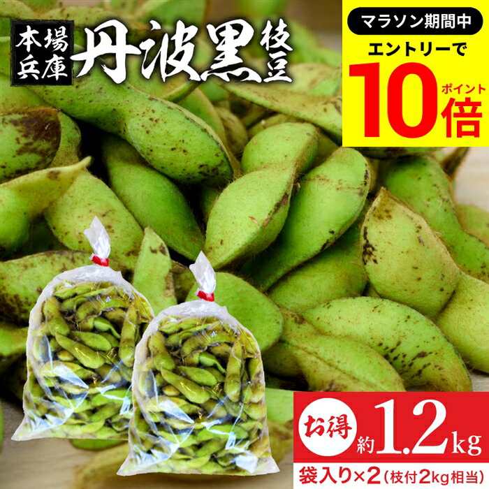 【エントリーでP10倍】＼お買い物マラソン／【最安値に挑戦!!】予約 2025年度産 丹波黒の枝豆 1.2kg 袋入り（600g×2）送料無料 超破格 丹波黒 黒枝豆 枝豆 兵庫県産 国産 えだまめ 黒豆 京都 篠山 丹波 ささやま たんば 甘み もっちり旨い 最高級枝豆 おつまみ ギフトのサムネイル