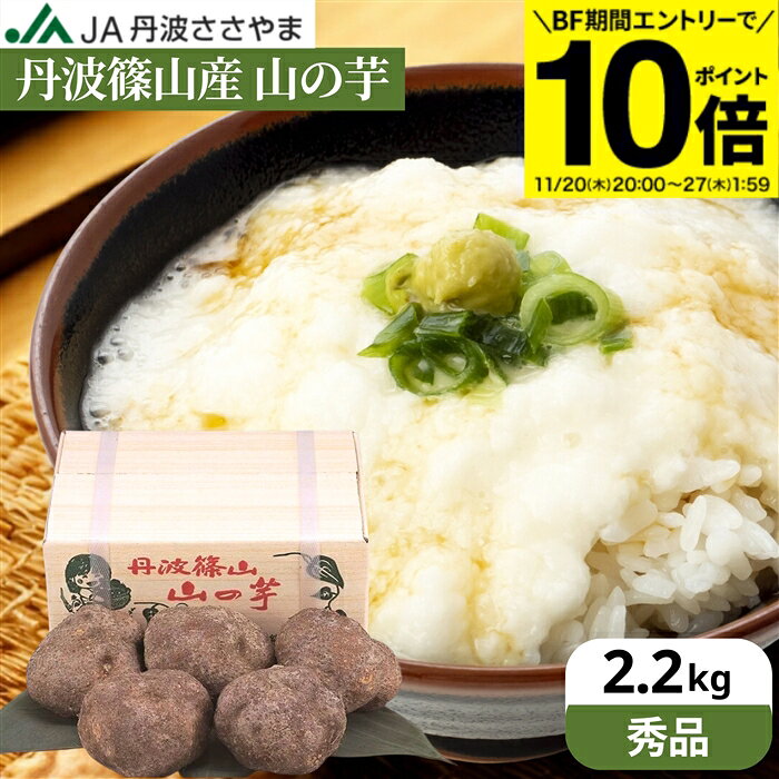 【BF期間★エントリーでP10倍】＼粘り抜群 ／【秀品】令和7年度産 本場 丹波篠山産 山の芋 2.2kg 送料無..