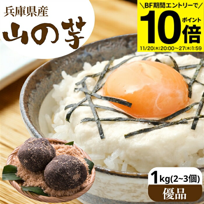 【BF期間★エントリーでP10倍】＼粘り抜群 ／【優品】令和7年度産 兵庫県産 山の芋 1kg（2~4個）とれたて 自然薯 天然 兵庫県 山芋 やまいも とろろ芋 山芋 つくね芋 山のいも とろろ ご飯 お正月 贈り物 おせち とろろ汁 健康 2025年度産