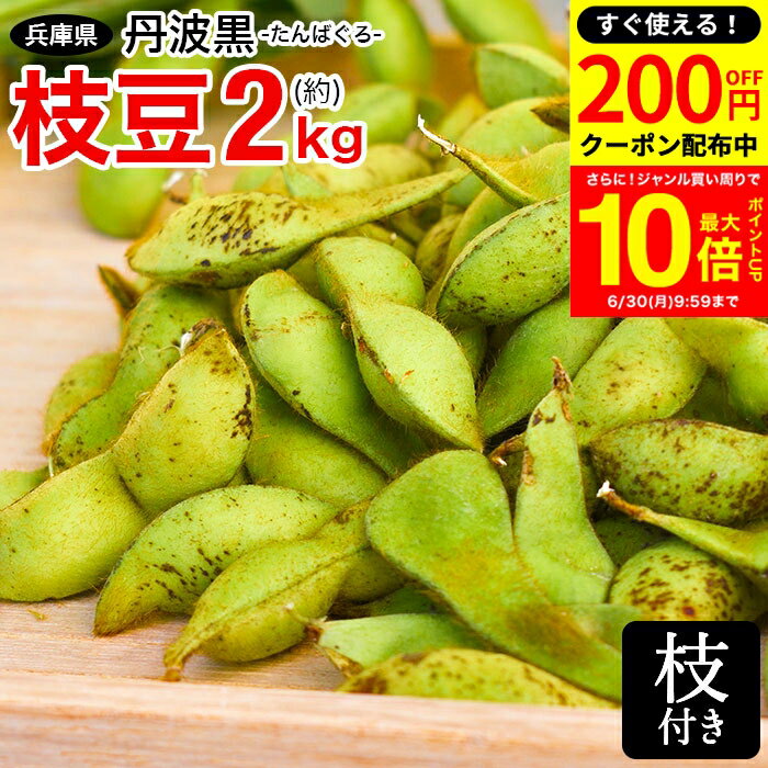 【200円OFFクーポン配布中】＼買い回りでP10倍／予約 2024年度産 丹波黒の枝豆 2kg 枝 ...