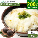 \LINE登録で★200円クーポン配布中/\粘り抜群 /【秀品】本場 丹波篠山産 山の芋 2kg 送料無料 自然薯 天然 兵庫県 山芋 やまいも とろろ芋 山芋 つくね芋 山のいも とろろ お正月 贈り物 おせち 産地直送 とろろ汁 健康食品 【11月中旬以降順次出荷予定】