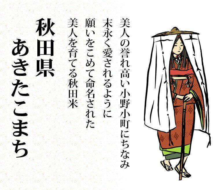 新米 米 白米 または 玄米 10kg 送料無料 あきたこまち 5kg×2袋 秋田県産 令和2年産 1等米 あきたこまち お米 10キロ 安い あす楽 送料無料 沖縄配送不可