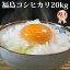 米 白米 20kg 送料無料 コシヒカリ 福島県産 30年産 1等米 コシヒカリ お米 20キロ 安い 北海道・沖縄は追加送料